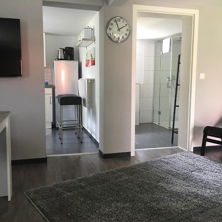 AtzenhausenHaus Lindenteichblickアパートメント エクステリア 写真